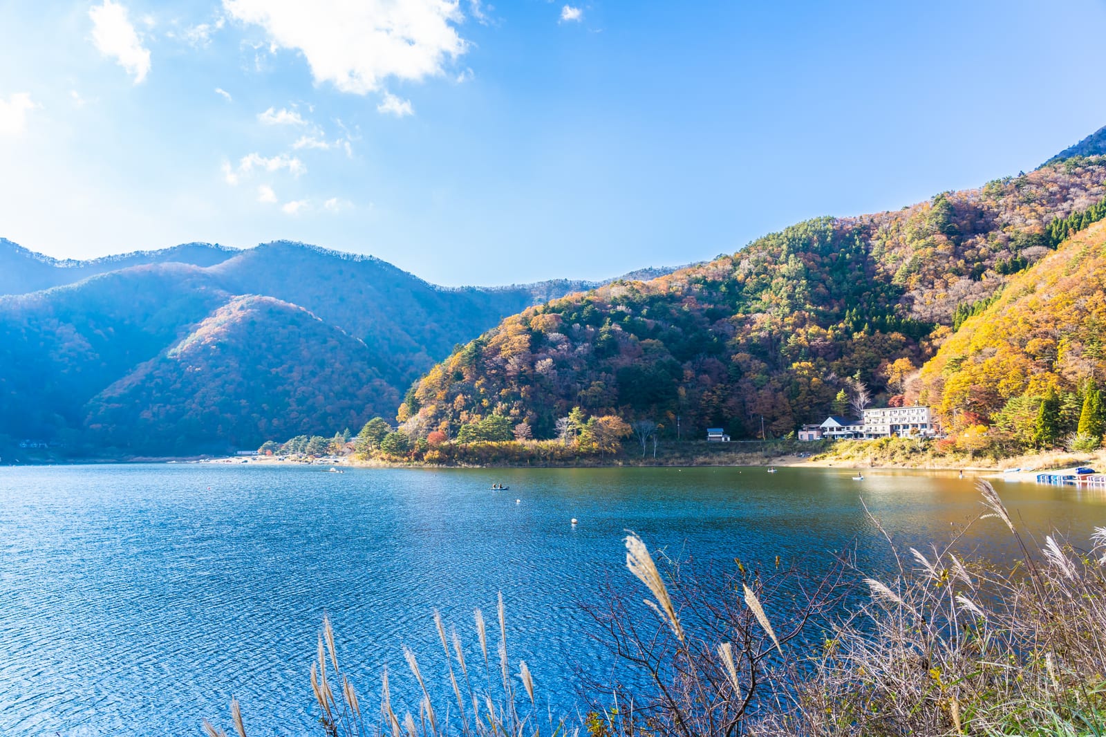 紅葉とススキに縁取られた青い湖の風景